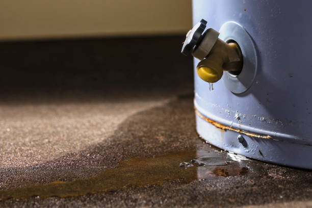 Best Commercial water damage restoration  in Jean Fitte, LA