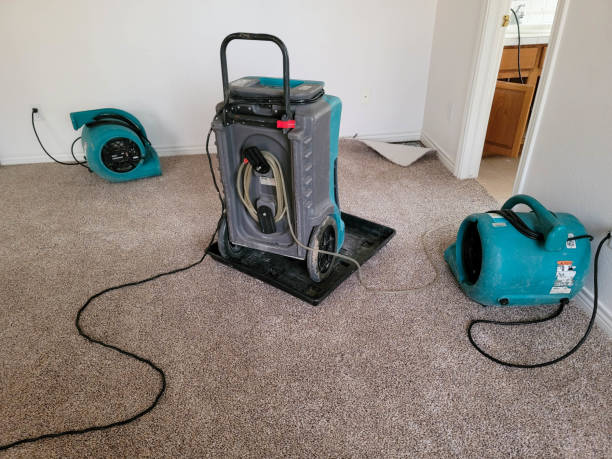 Best Basement water damage restoration  in Jean Fitte, LA