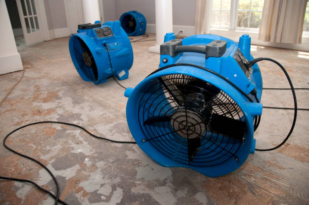 Best Water damage restoration company  in Jean Fitte, LA