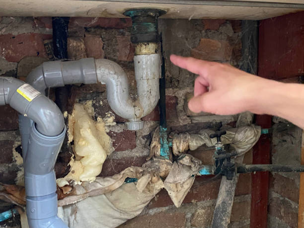 Best Professional water damage repair  in Jean Fitte, LA
